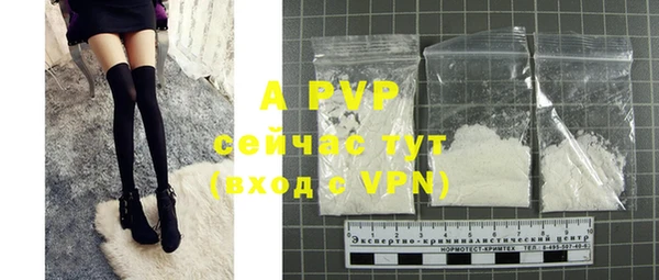 apvp Алексин
