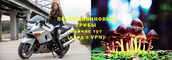 стафф Карталы