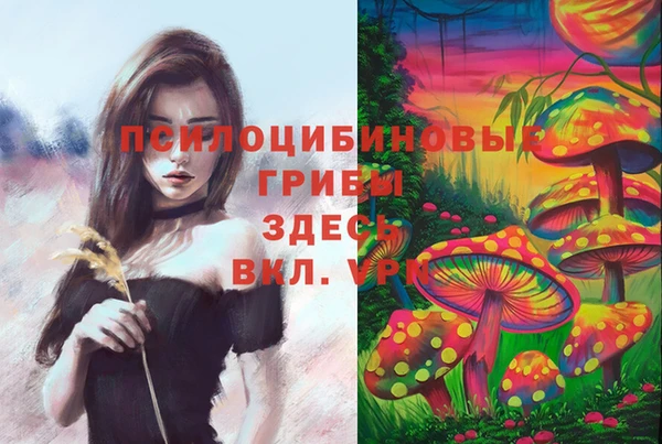 Альфа ПВП Алексеевка